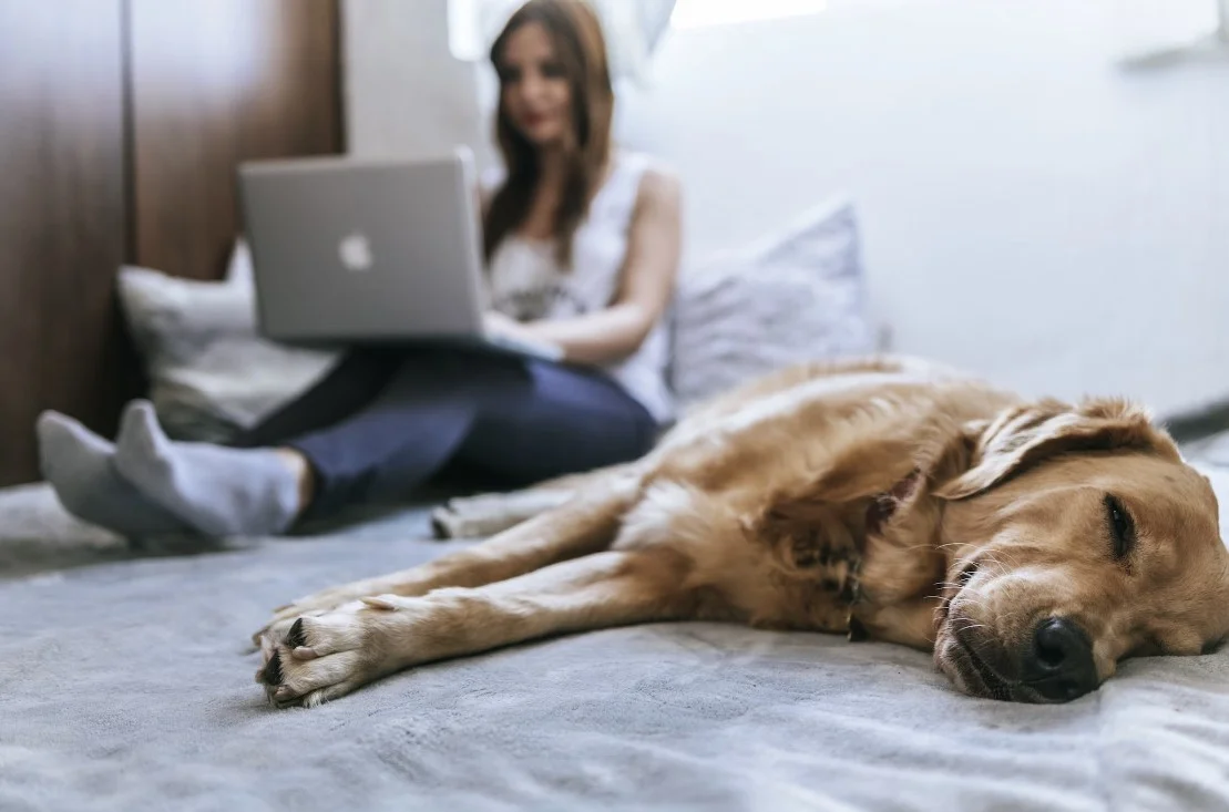 smart interactive bed